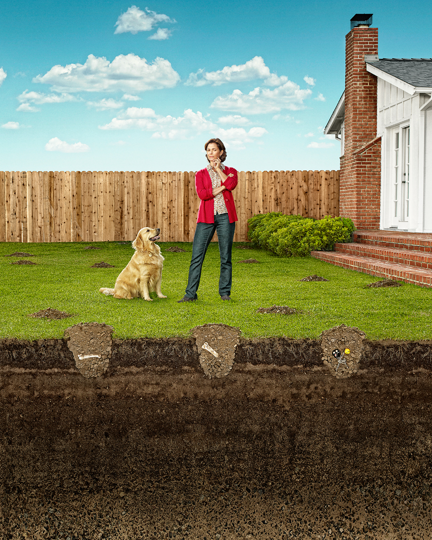 AARP_Dog_1080