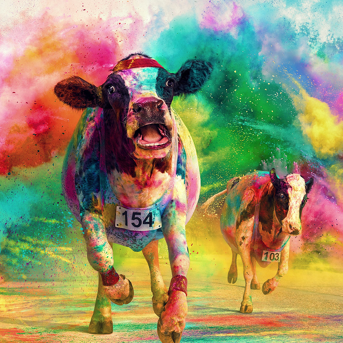 color_stampede_1140